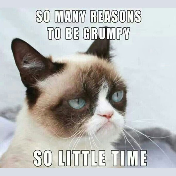 Picture found on https://www.dictionary.com/e/memes/grumpy-cat/